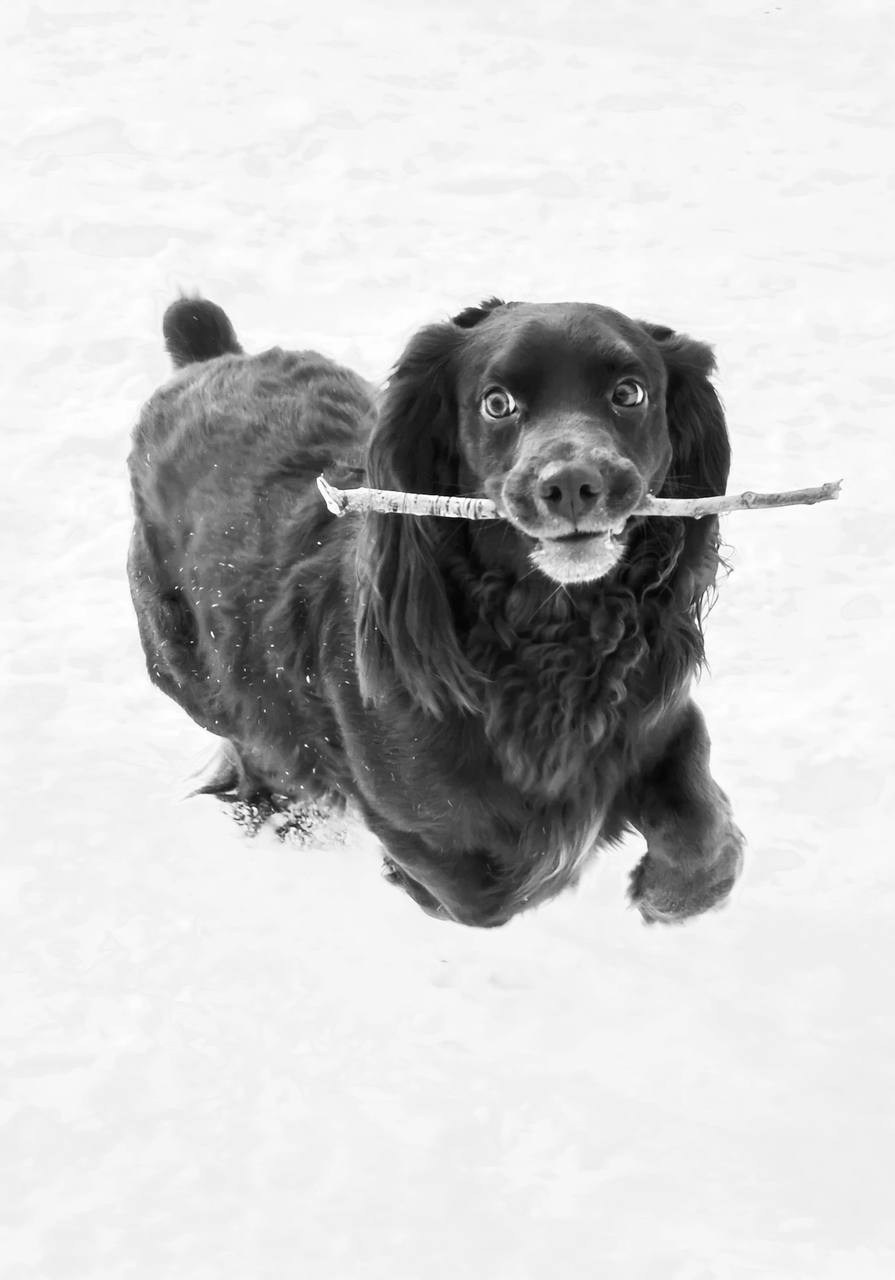 Хвостики. Портретный фотограф город Уфа