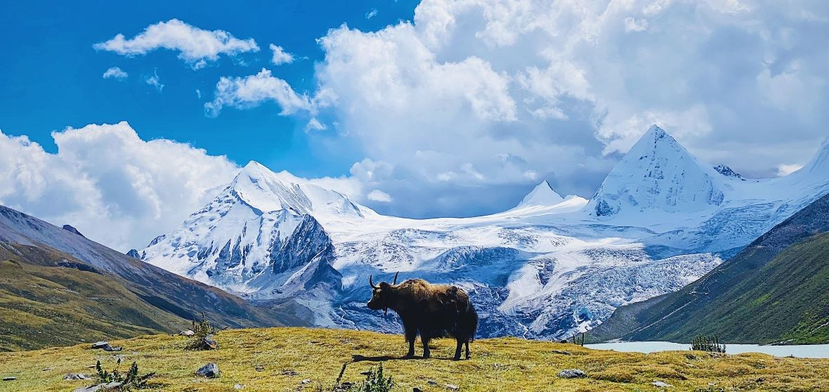 Экспедиция в Тибет по следам Рериха. Роман Ходырев — художник, фотограф, музыкант, эзотериолог. Санкт-Петербург, Рига
