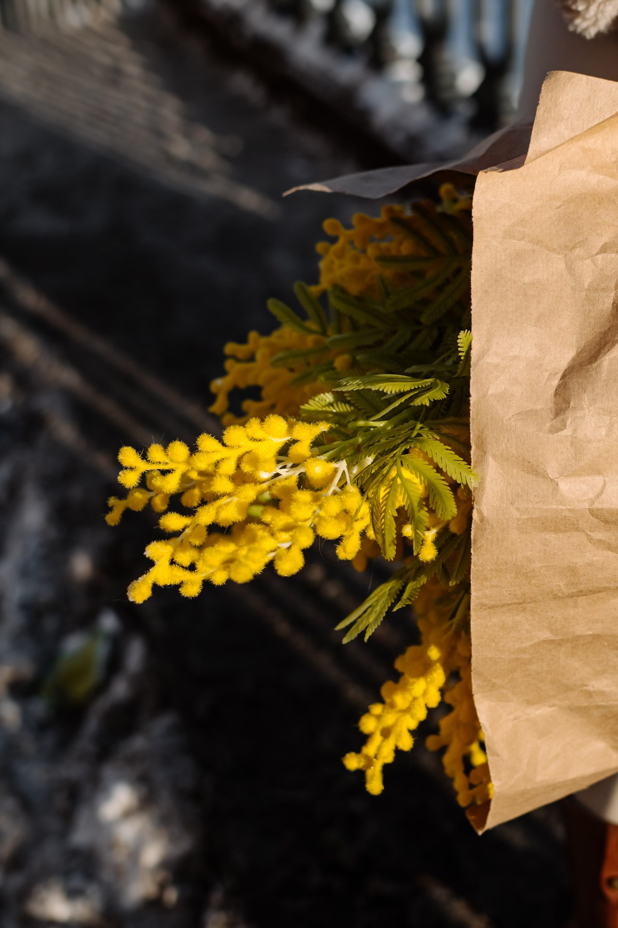 Весна. Прогулка с цветами. Свадебный и семейный фотограф в Санкт-Петербурге Елена Худякова