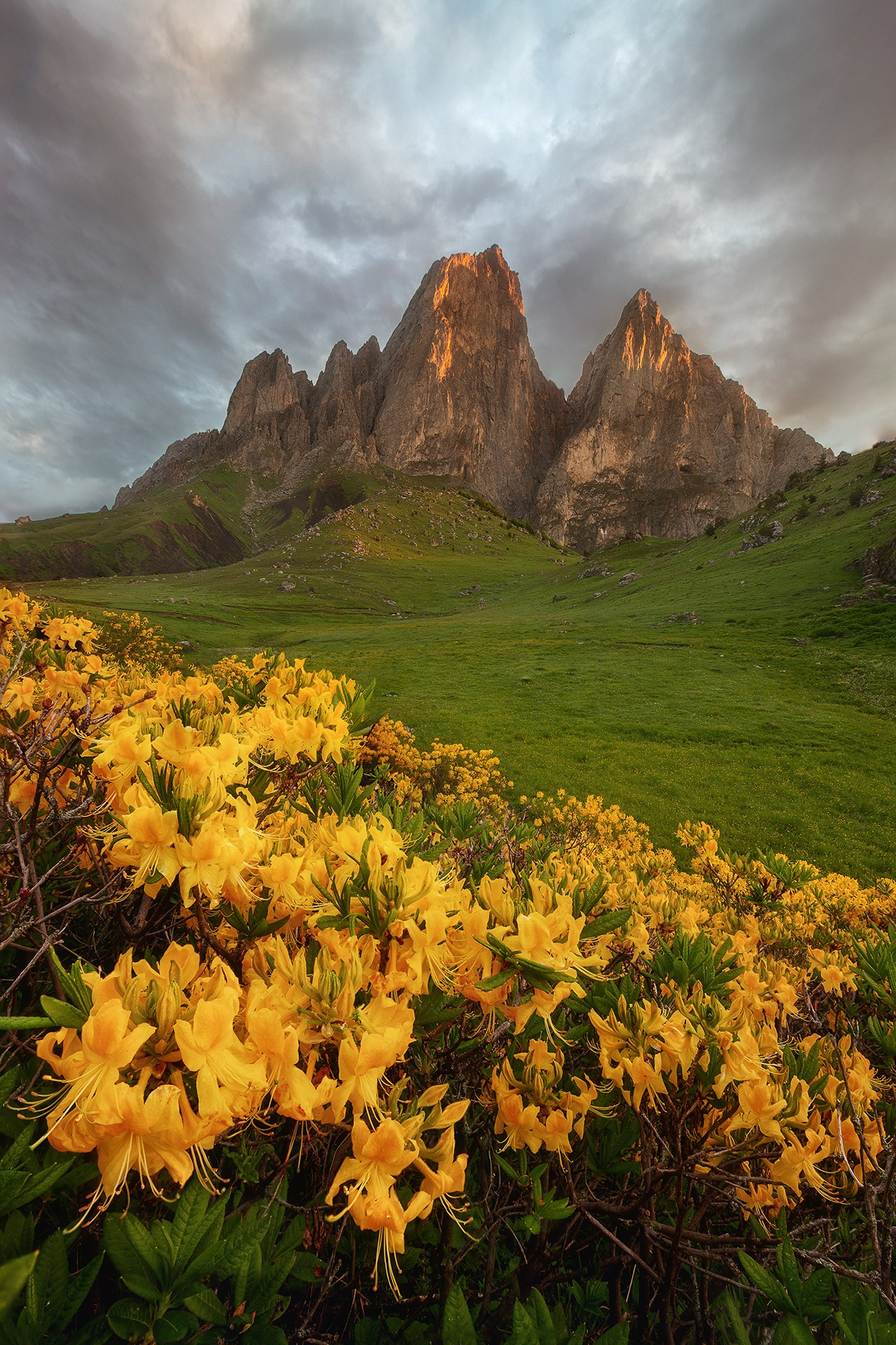 ИНГУШЕТИЯ. Фототуры и обучение пейзажной фотографии