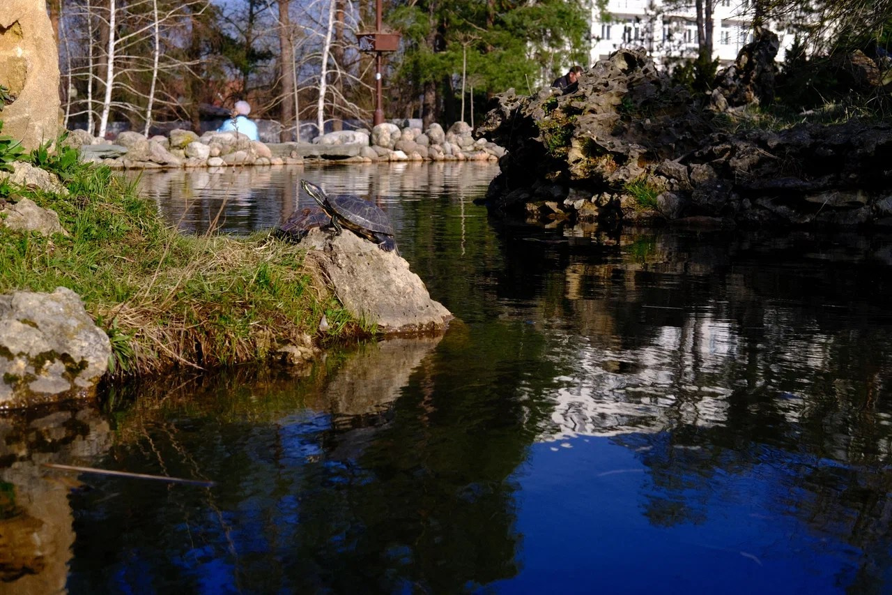 Пейзажная фотография