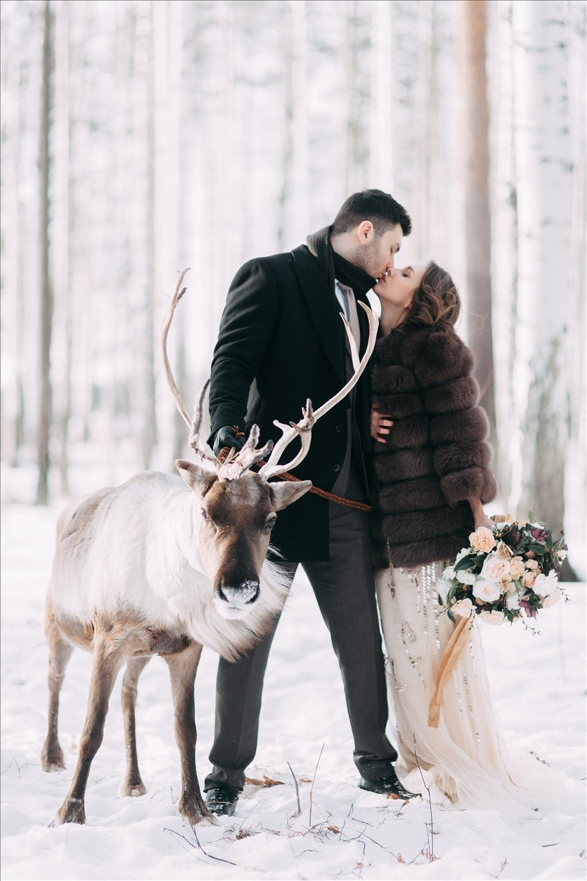 Стильная зимняя свадьба
