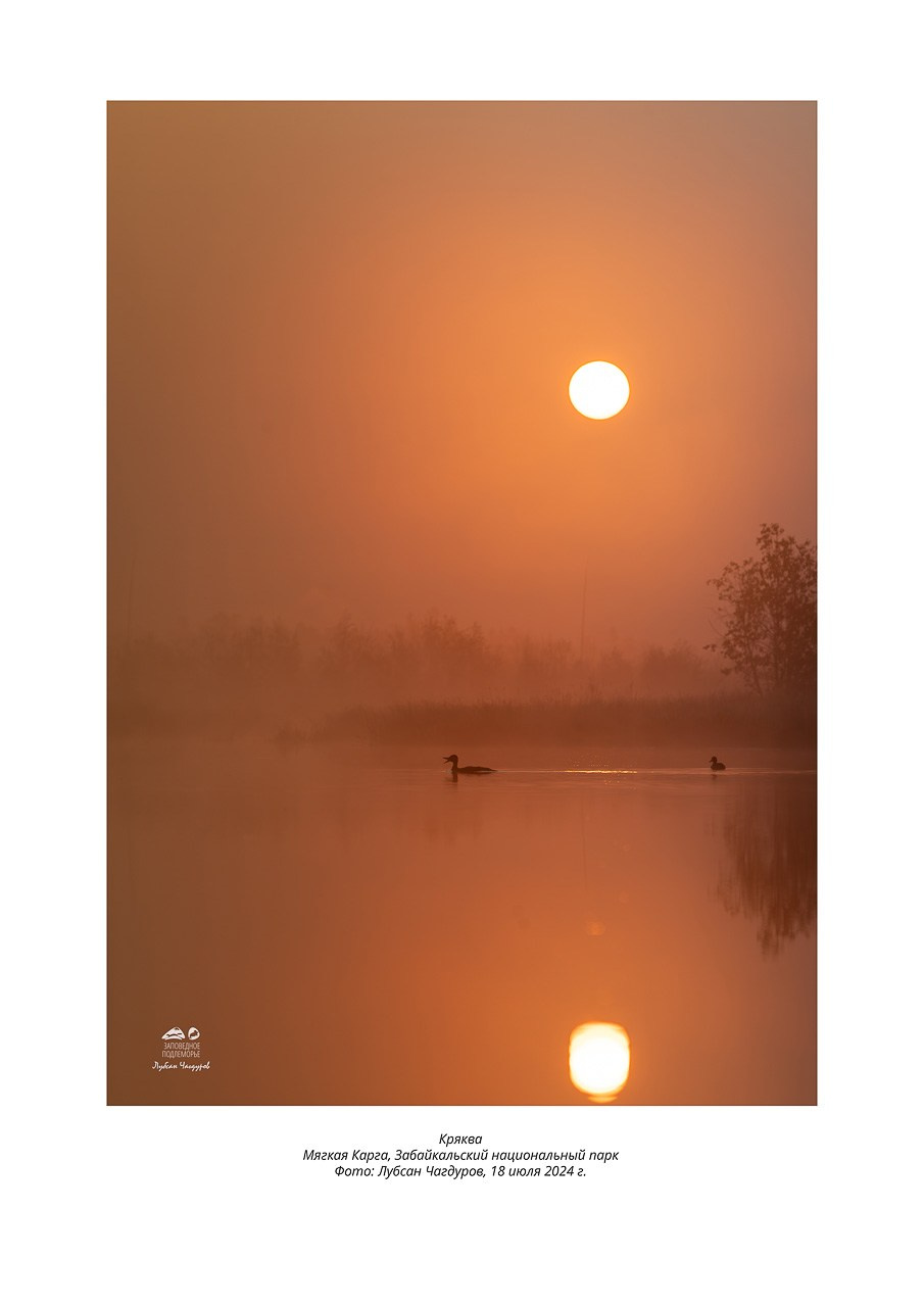 Фотовыставка «Дети природы». Фотограф Лубсан Чагдуров