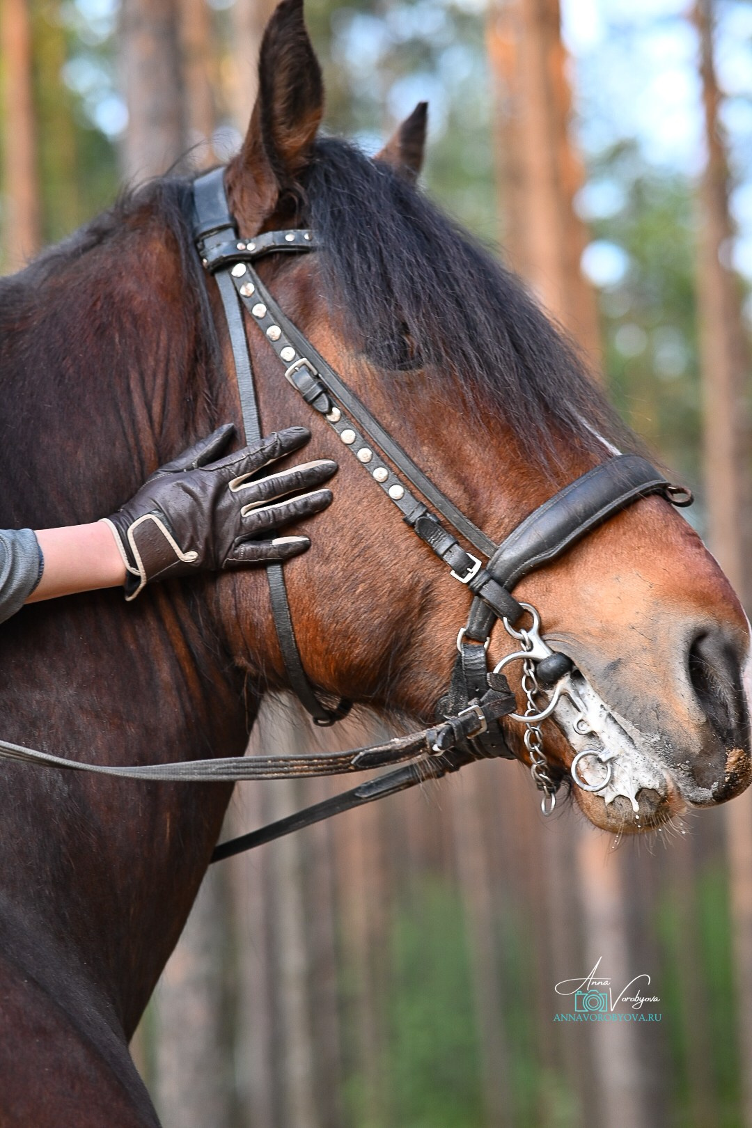 Оля и Ламбат. LifeStyle фотограф Анна Воробьёва Санкт-Петербург