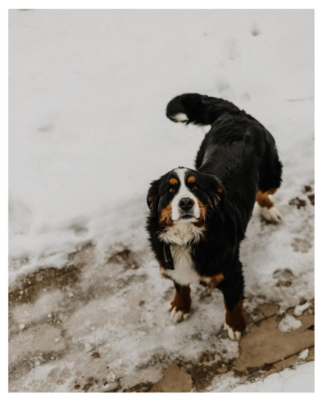 Домашняя история. Портретный фотограф Дорошко Анастасия