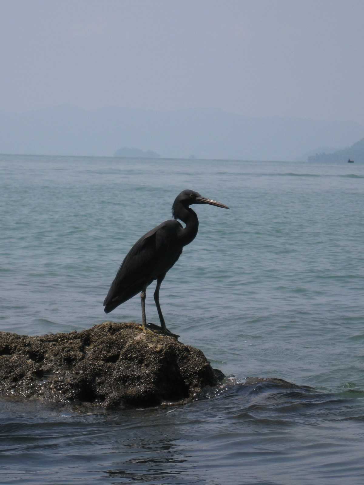 Тайланд 2012 г. Улица, люди, жизнь…