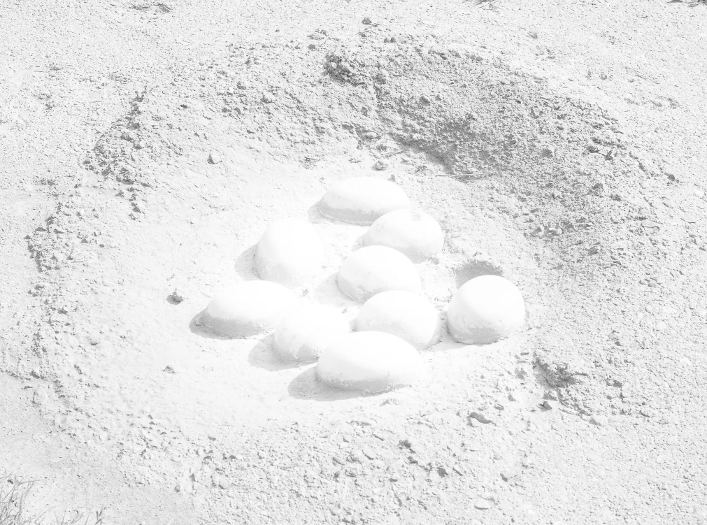 Проект «Somnia» Венкай Ван (Wenkai Wang). Private image