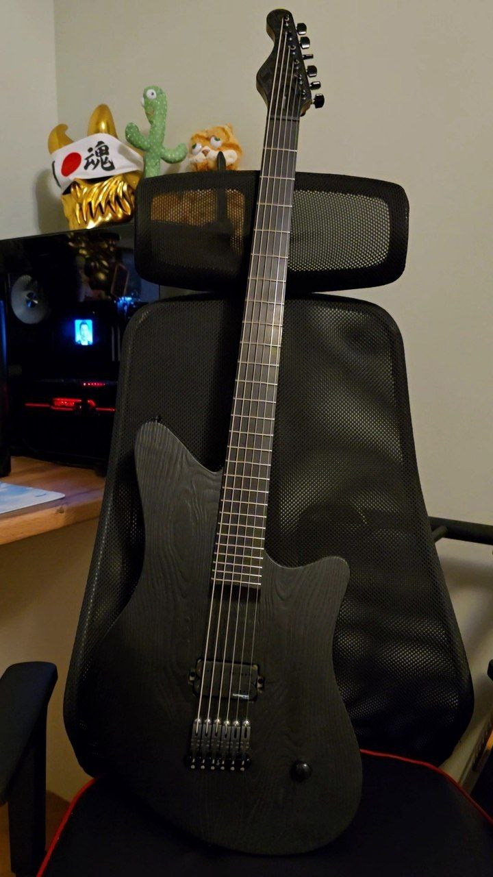 Сomments. Master of making guitars and basses to order