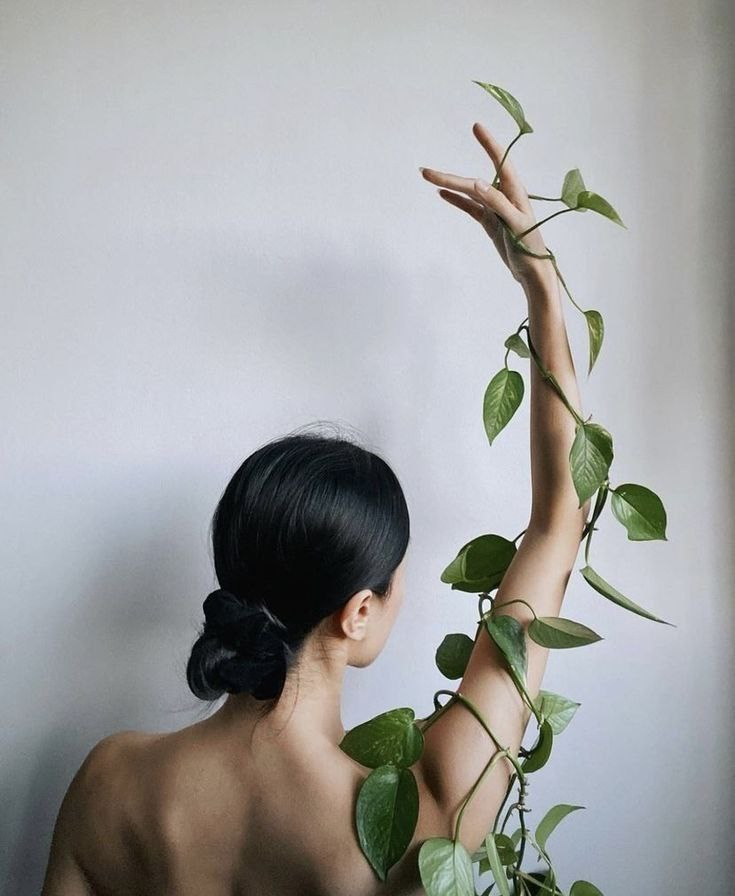 Концептуальный проект «ПЛЮЩ»