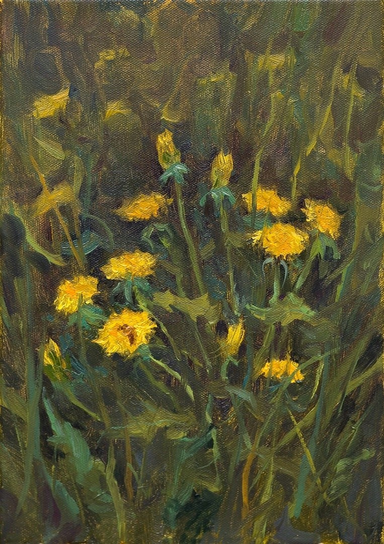 Одуванчики. Художник Александр Каверин