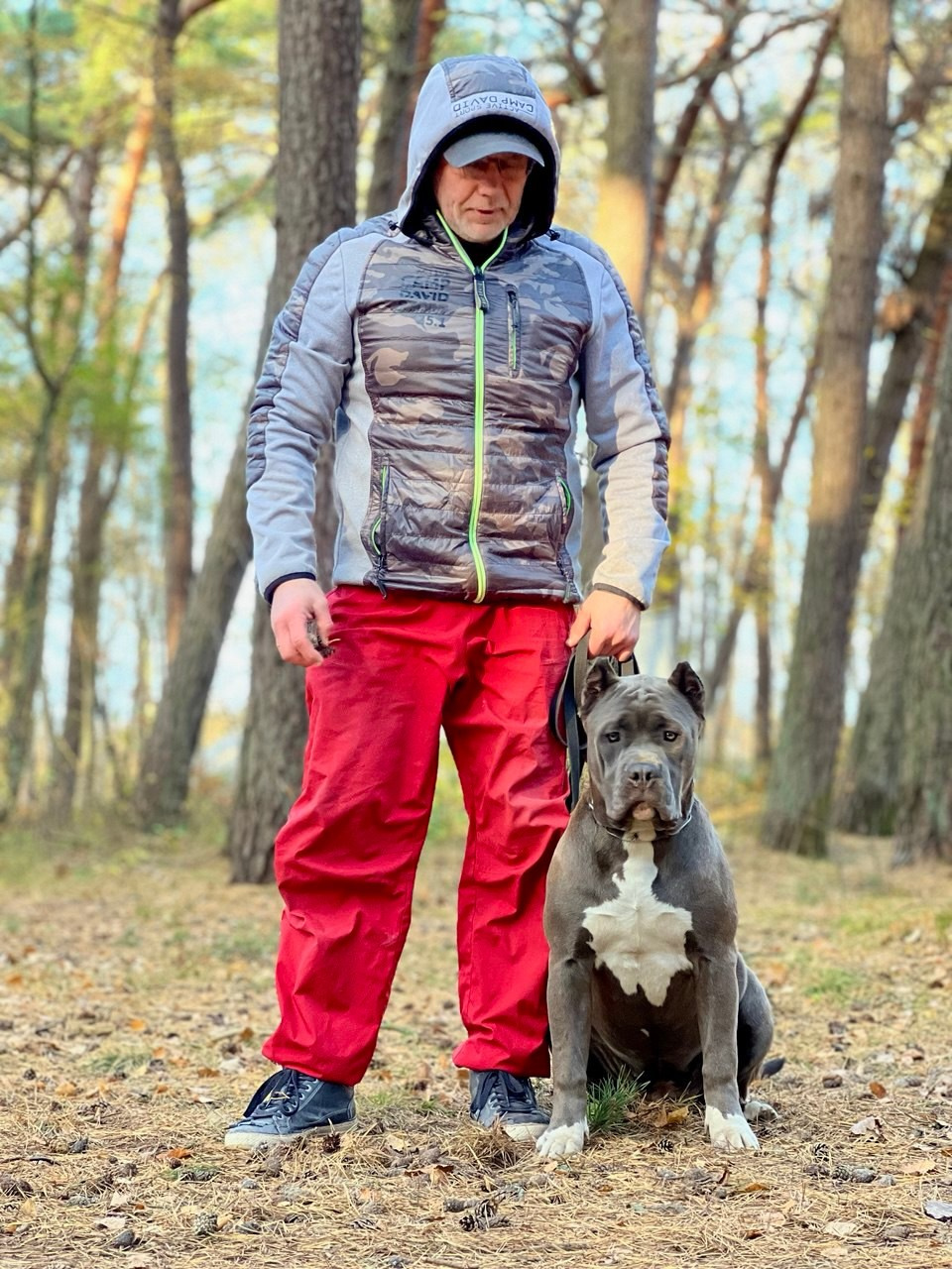 UPB’s Queenie & Zeus. 16.04.24. Американские булли XL в г. Калининград. Питомник Great Bully UNIVERSE