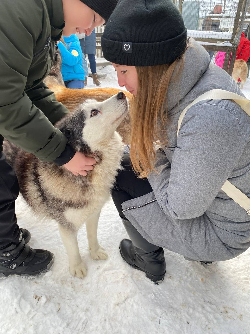 В гости к северным оленям | 02.12.2023. Галерея Фантим