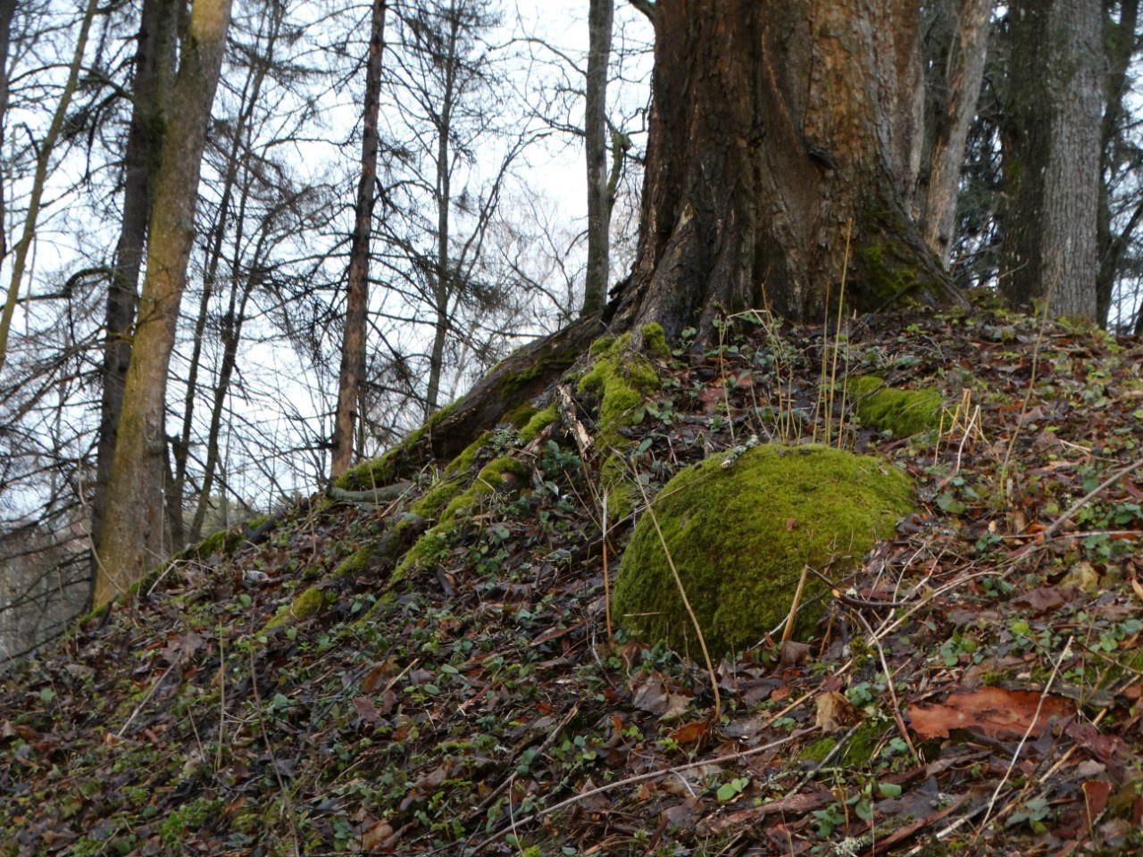 «Весенний переполох» Загородный выезд | 16-17.04.2016. Галерея Фантим