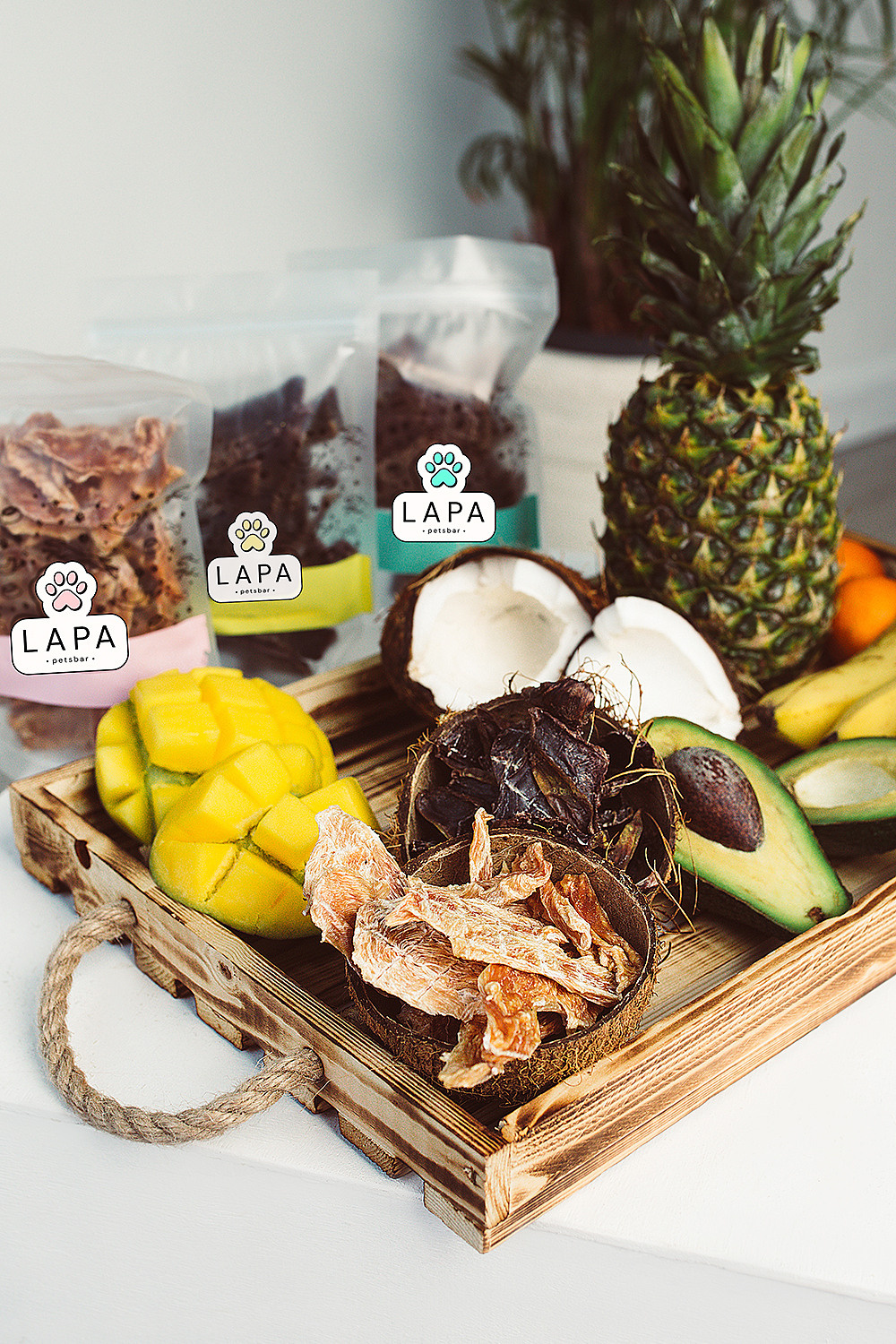 Lapa_petsbar. doberman. Фотограф ВИКА МЕДУЗА