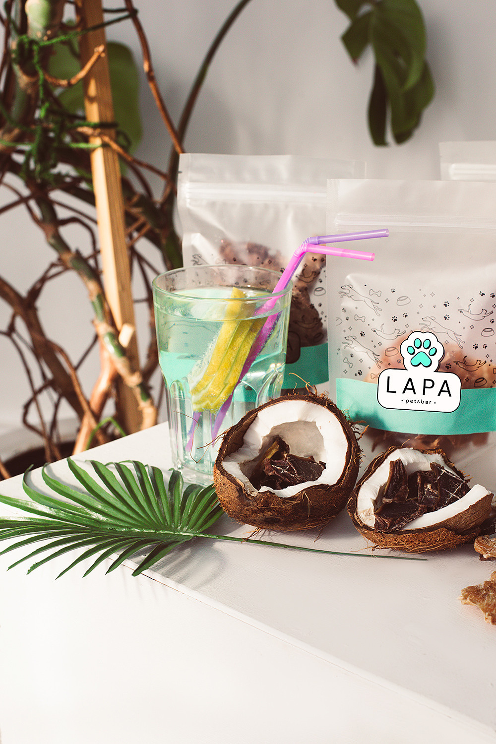 Lapa_petsbar. doberman. Фотограф ВИКА МЕДУЗА