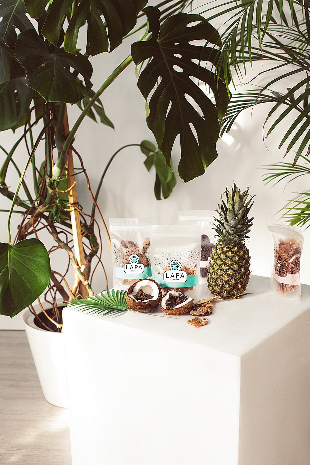 Lapa_petsbar. doberman. Фотограф ВИКА МЕДУЗА