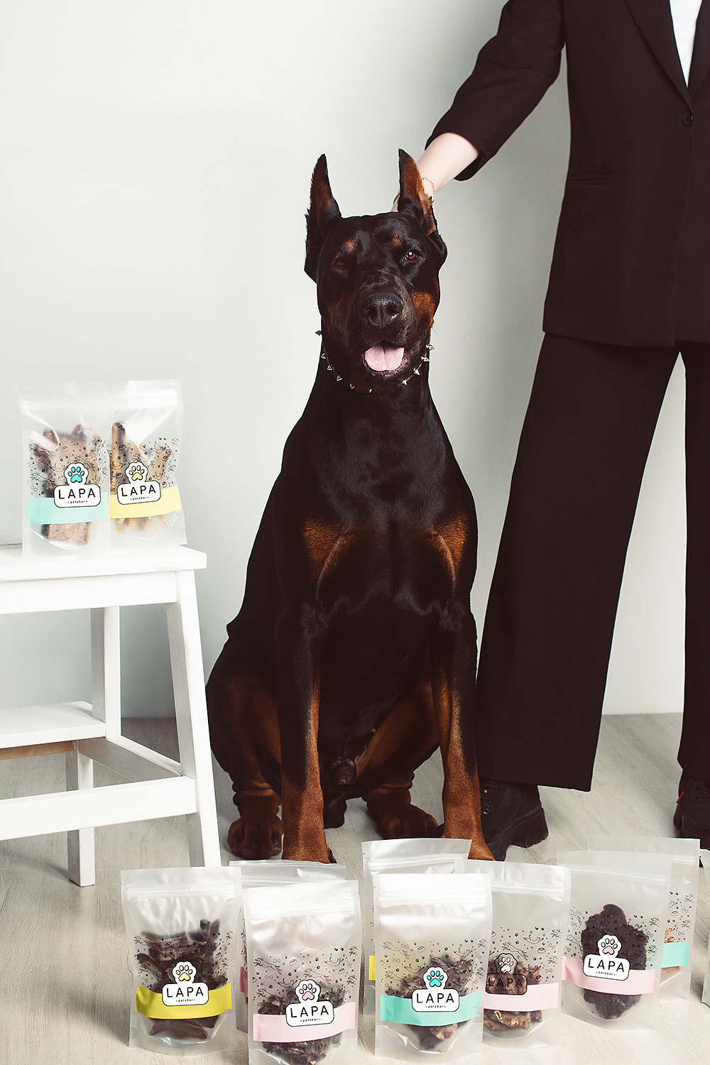 Lapa_petsbar. doberman. Фотограф ВИКА МЕДУЗА