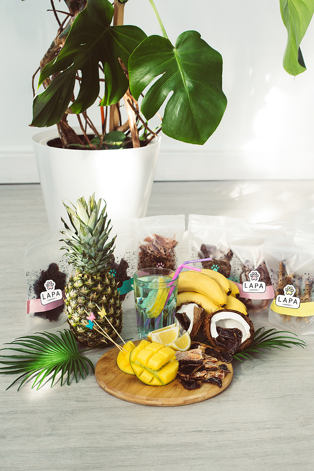 Lapa_petsbar. doberman. Фотограф ВИКА МЕДУЗА