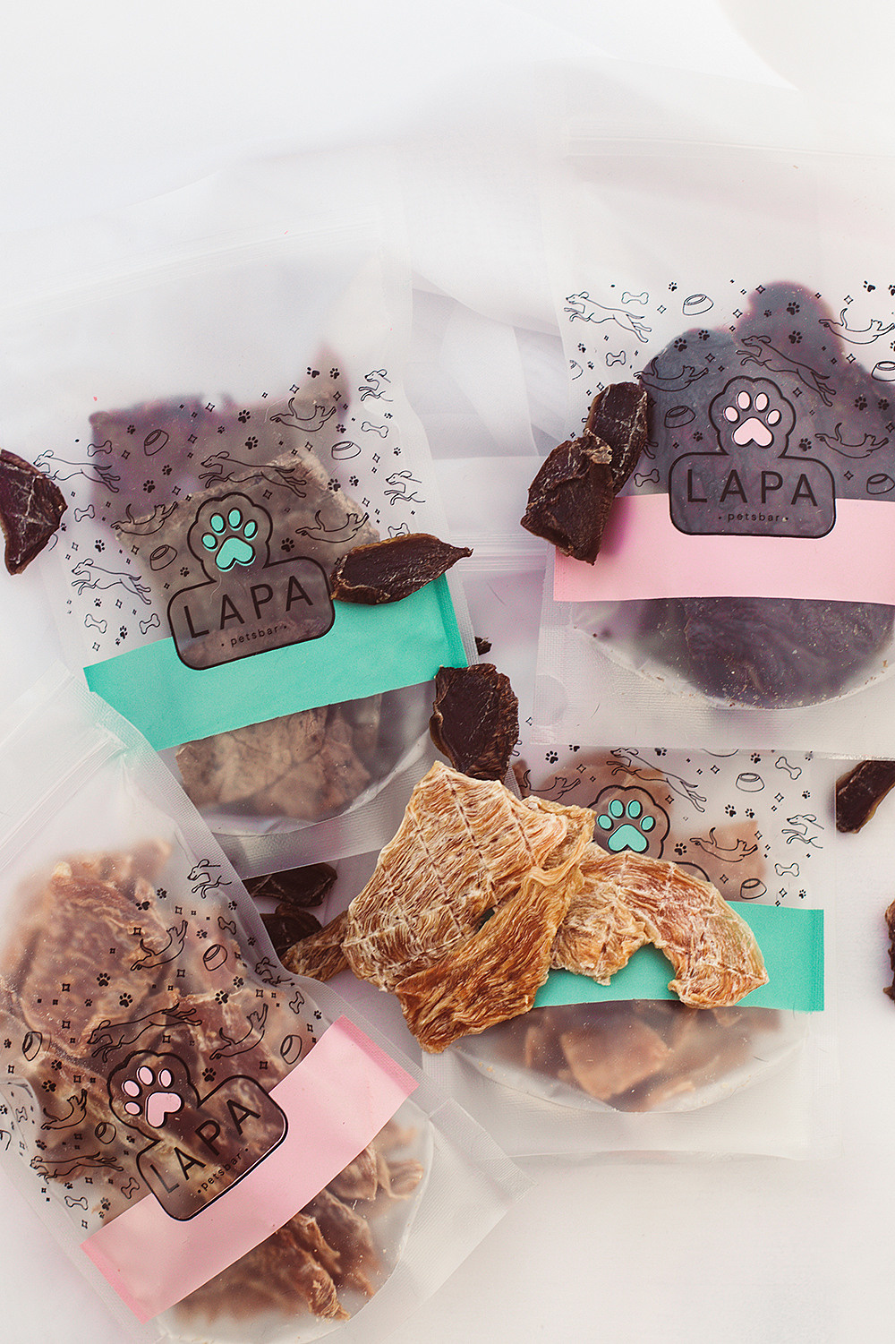 Lapa_petsbar. doberman. Фотограф ВИКА МЕДУЗА