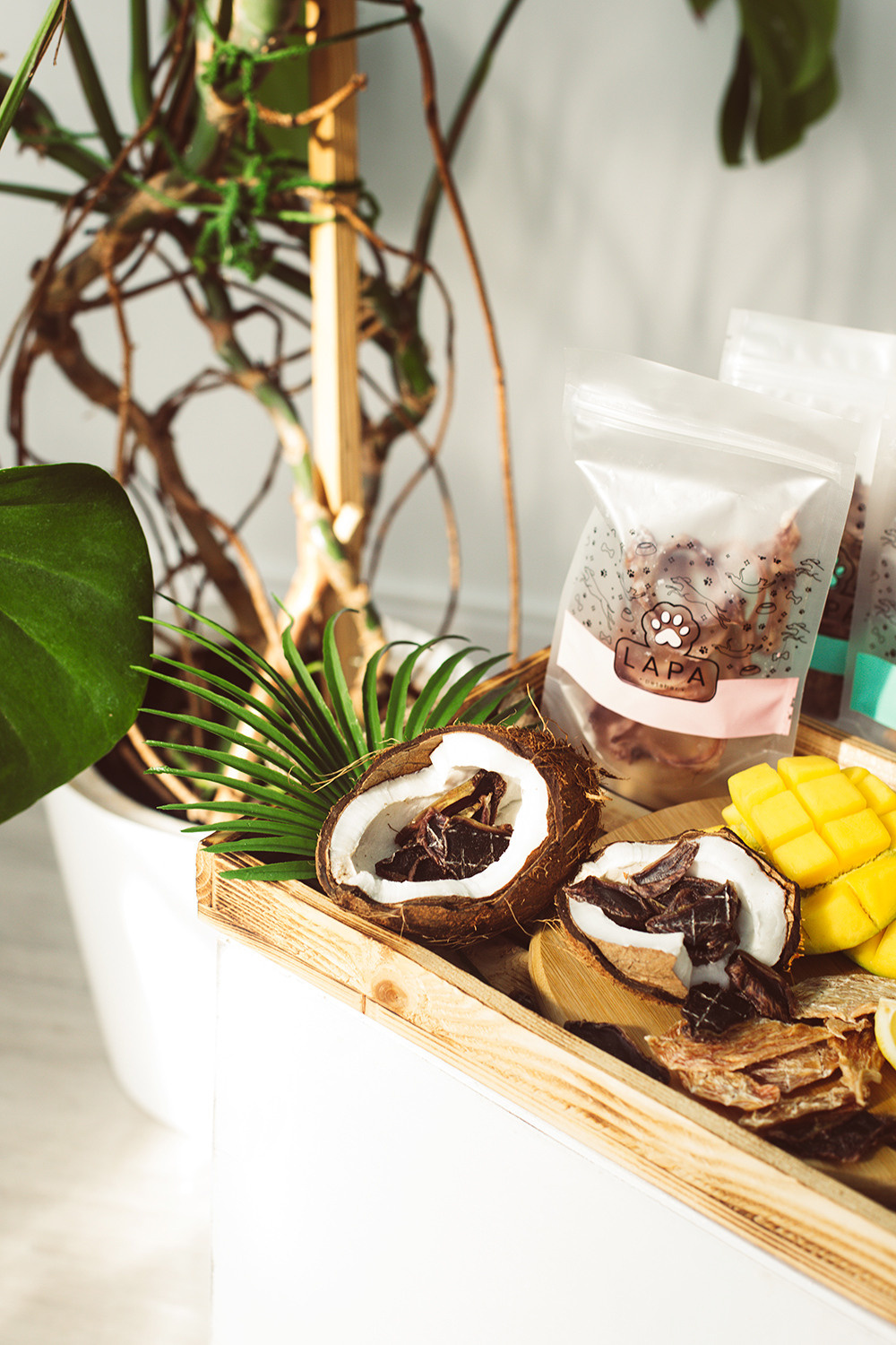 Lapa_petsbar. doberman. Фотограф ВИКА МЕДУЗА