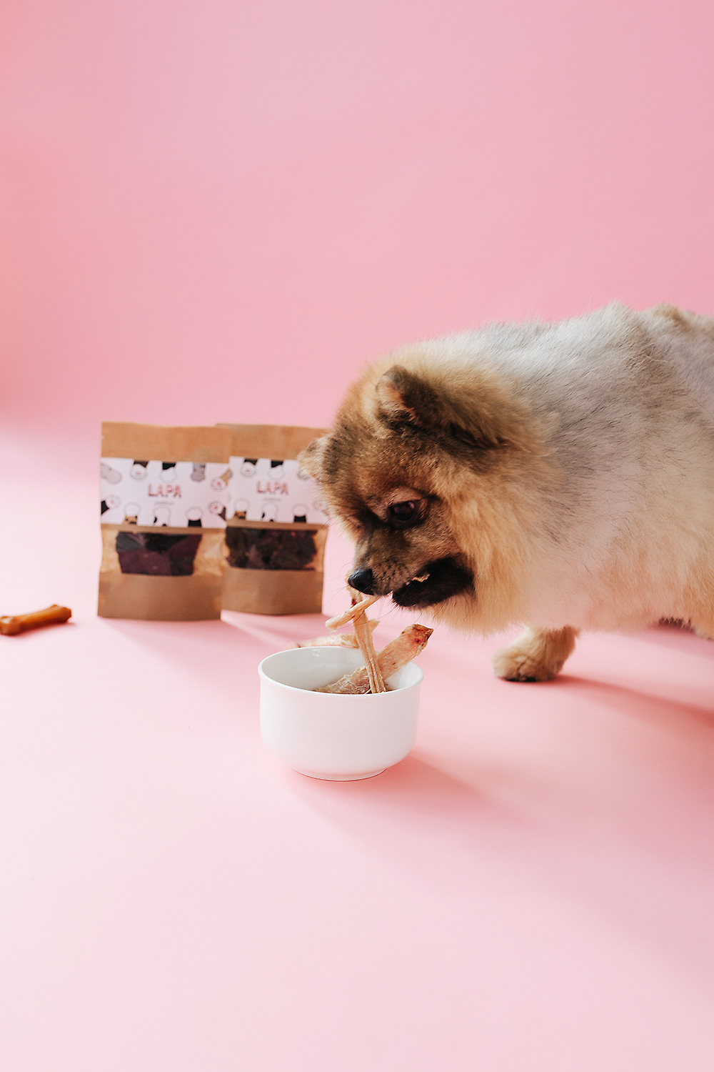 Lapa_petsbar. pink. Фотограф ВИКА МЕДУЗА