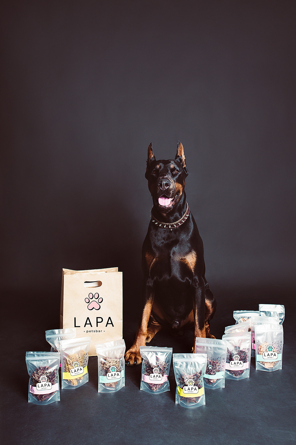 Lapa_petsbar. doberman. Фотограф ВИКА МЕДУЗА