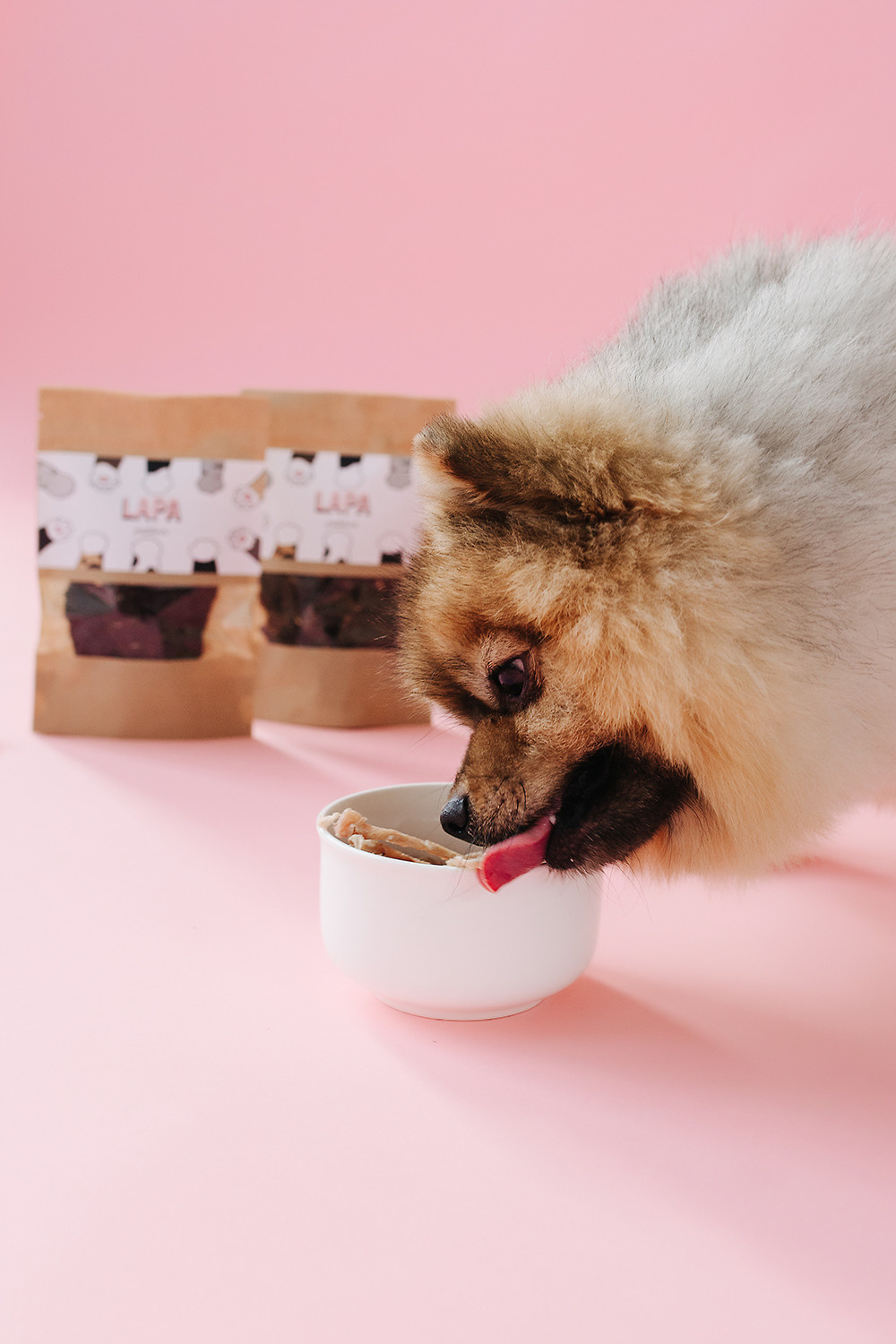 Lapa_petsbar. pink. Фотограф ВИКА МЕДУЗА