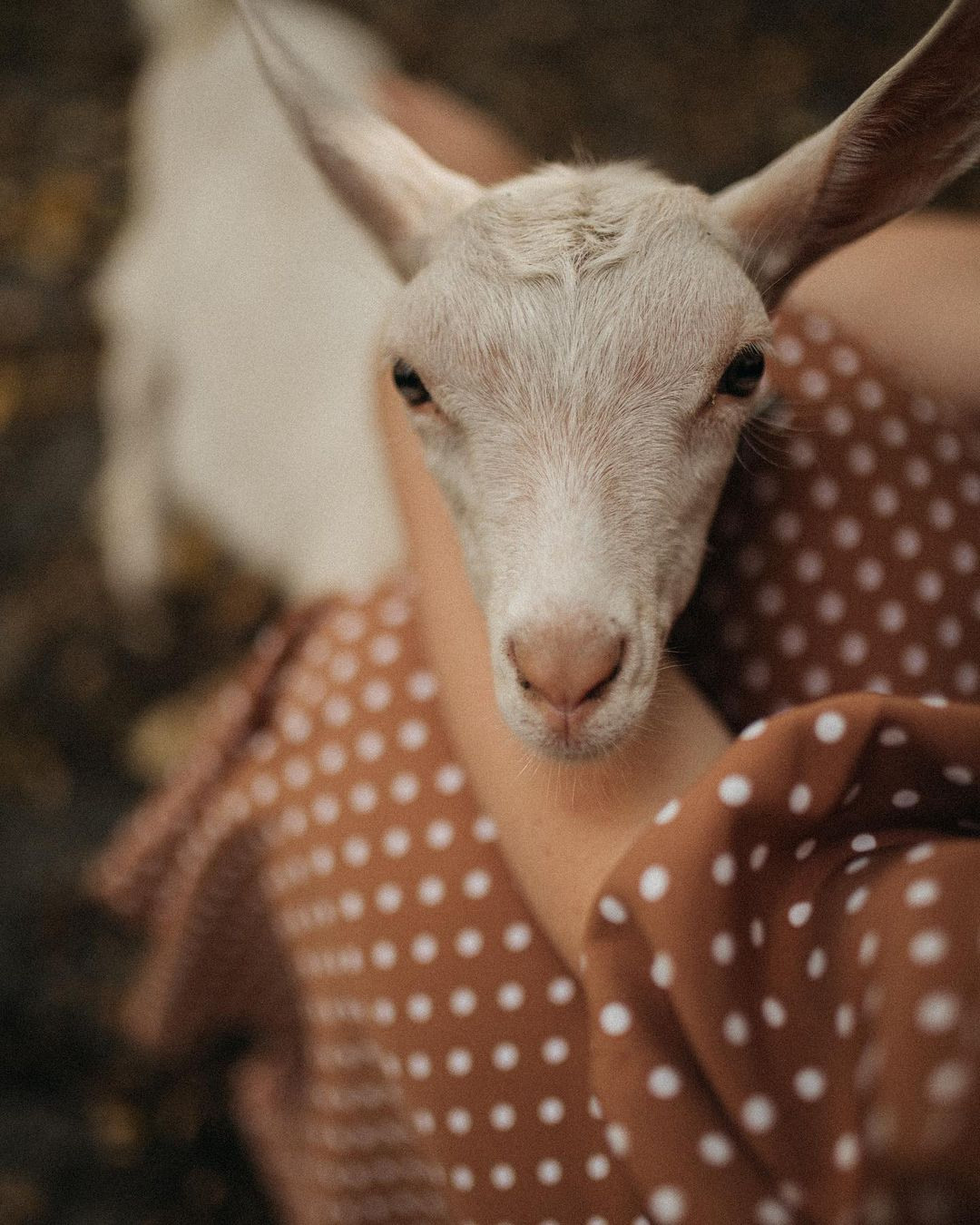 Портрет. Фотограф Ханты-Мансийск Гагарина Мария