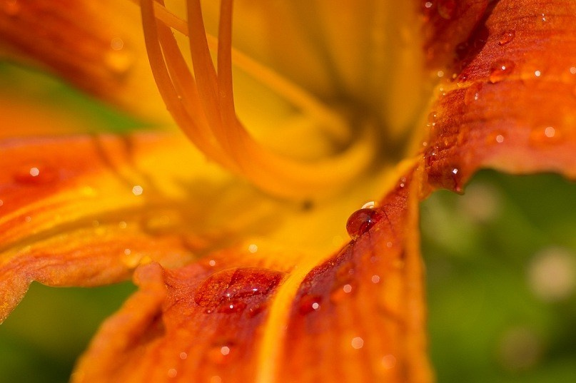 Макро. ZAGLADIN Bureau