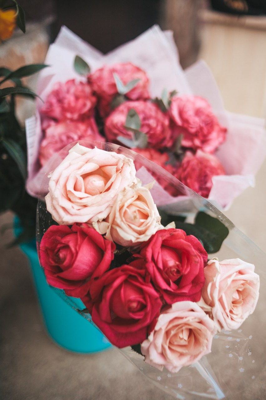 1 сентября в «Квадратике». Семейный фотограф во Всеволожске и Санкт-Петербурге Юлия Капустина