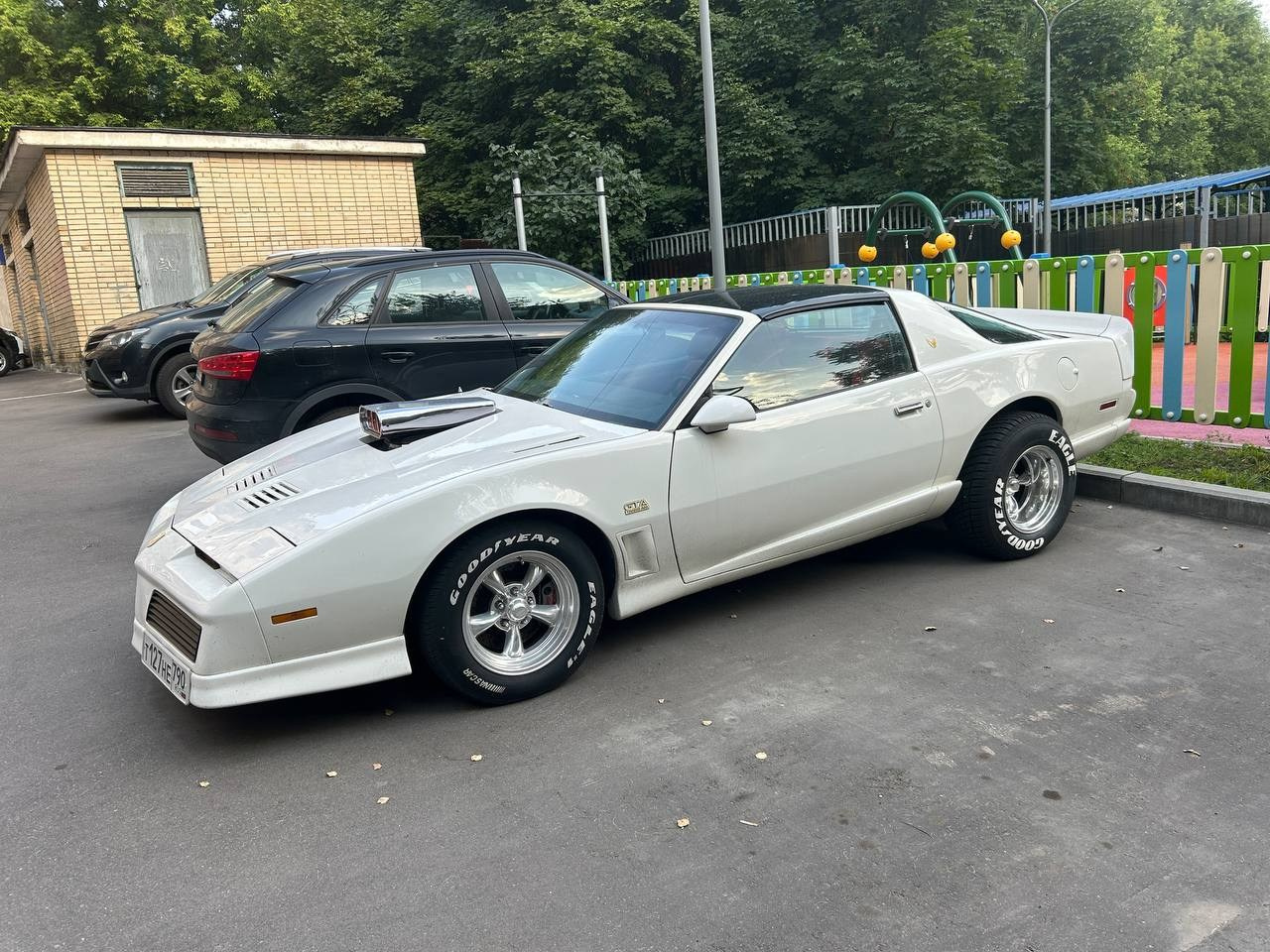 Cars. Maria Abdullaeva