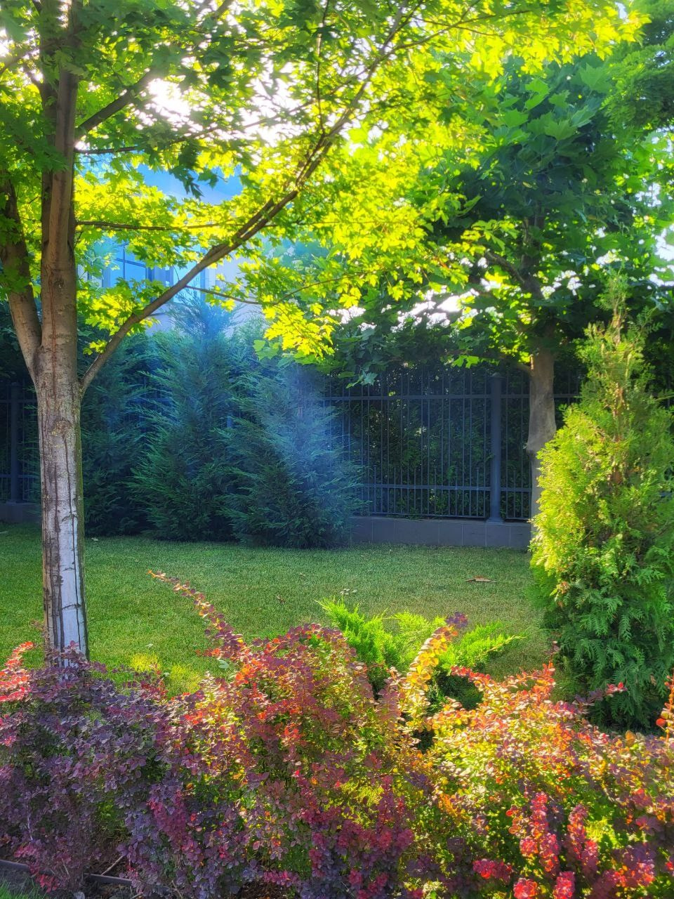 Проект «366»|2024|Фото каждый день. LENA GRACE photographer ||ЛЕНА ГРЭЙС фотограф