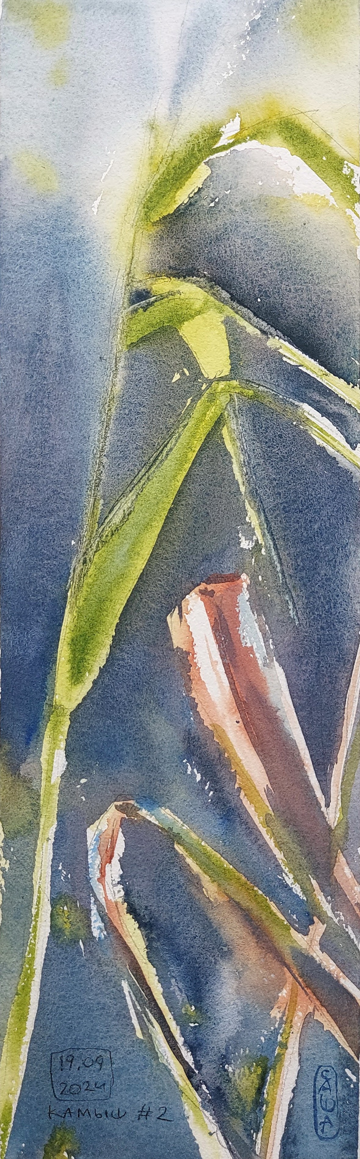 Flowers. Alexander Manaenkov | Watercolor Artist from Siberia