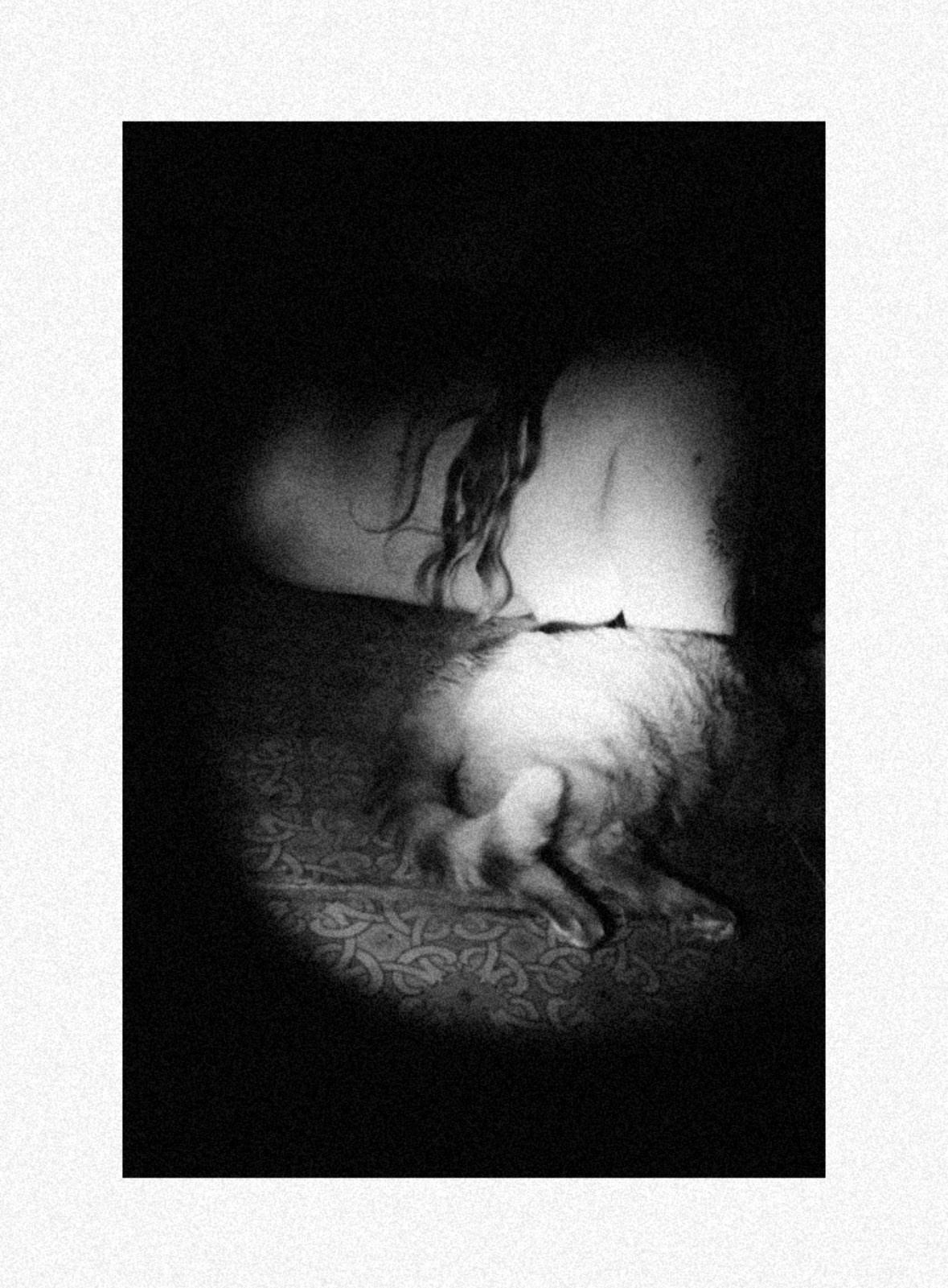 Женская фотосессия. Женский фотограф, видеограф, визуальный артист. Радужный ХМАО