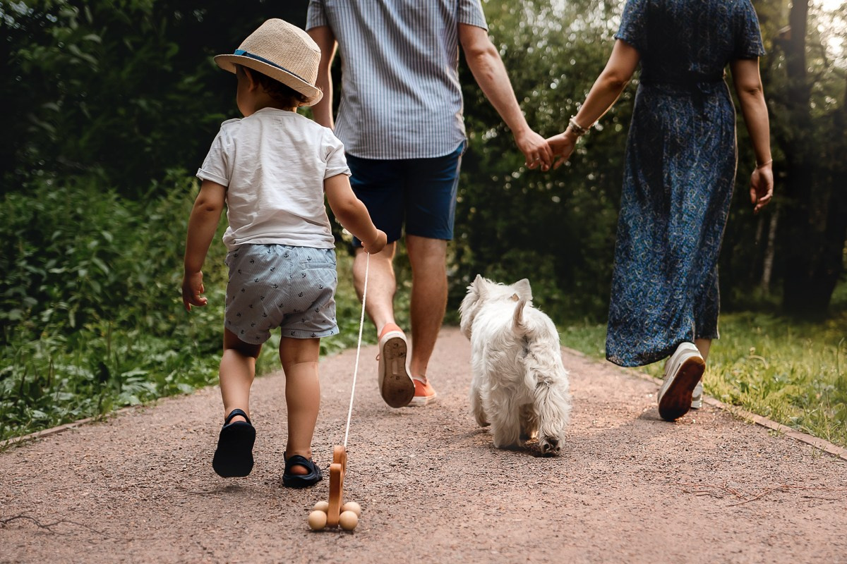 Как я выбираю, на какой объектив снимать животных?