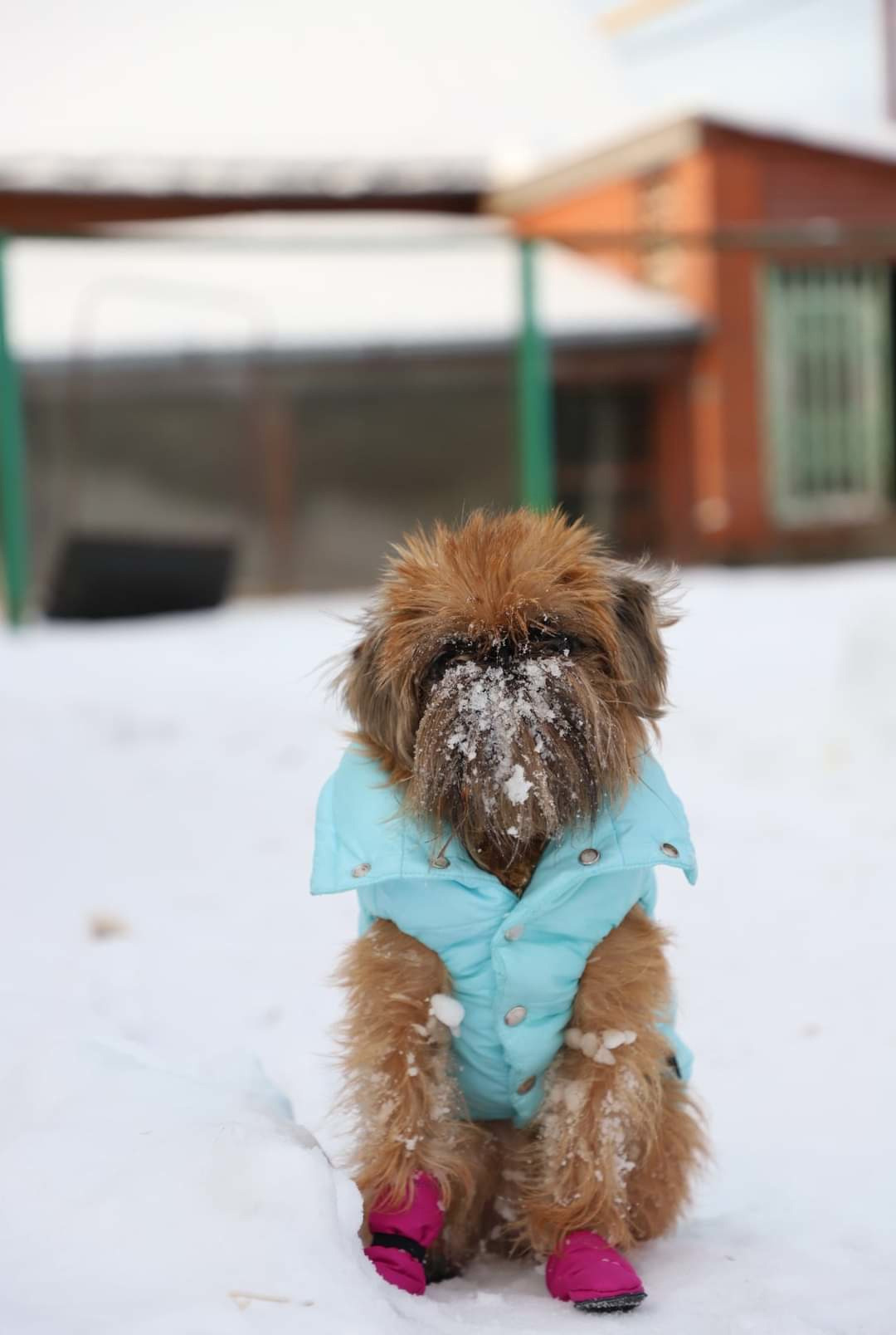 МК_СКИФКА. Фотограф Анималист из Новосибирска Татьяна Кауфман