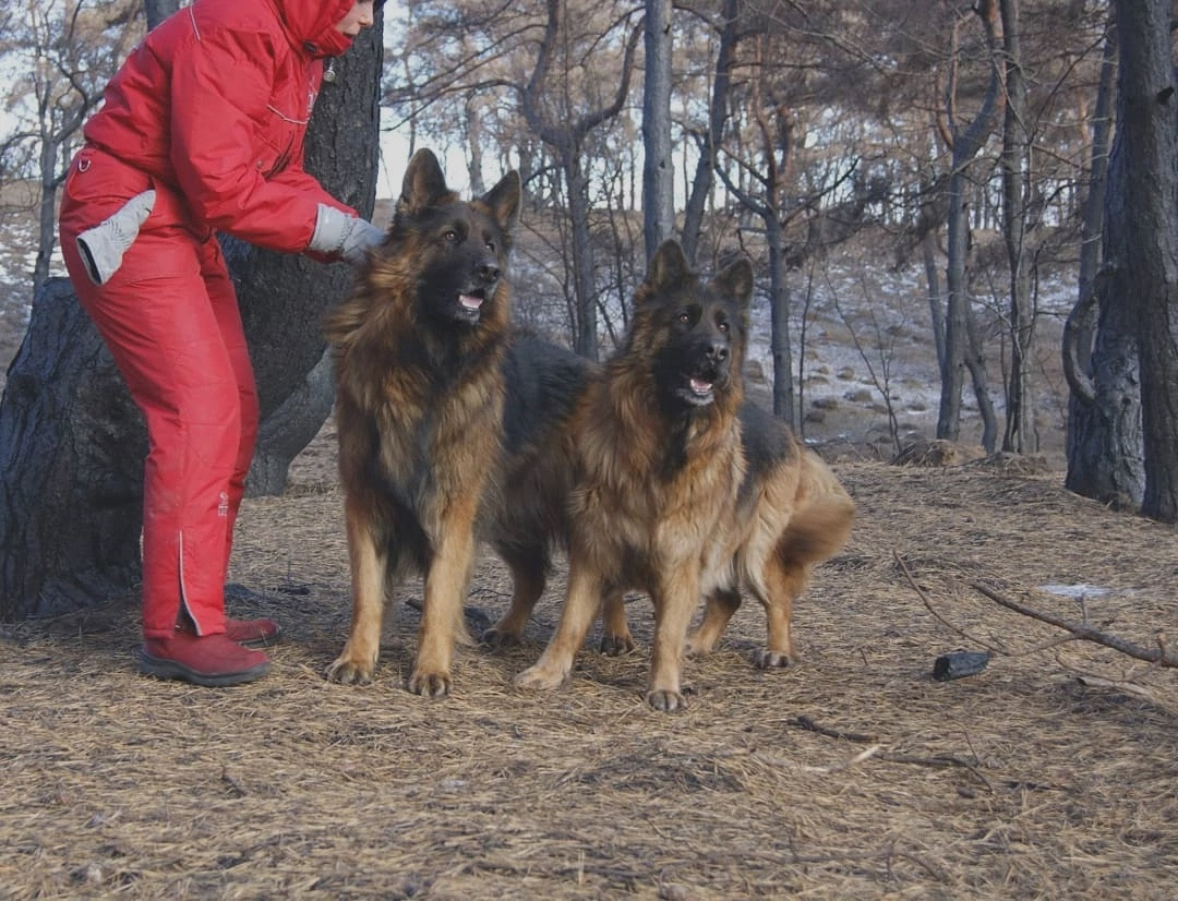 МК_СКИФКА. Фотограф Анималист из Новосибирска Татьяна Кауфман
