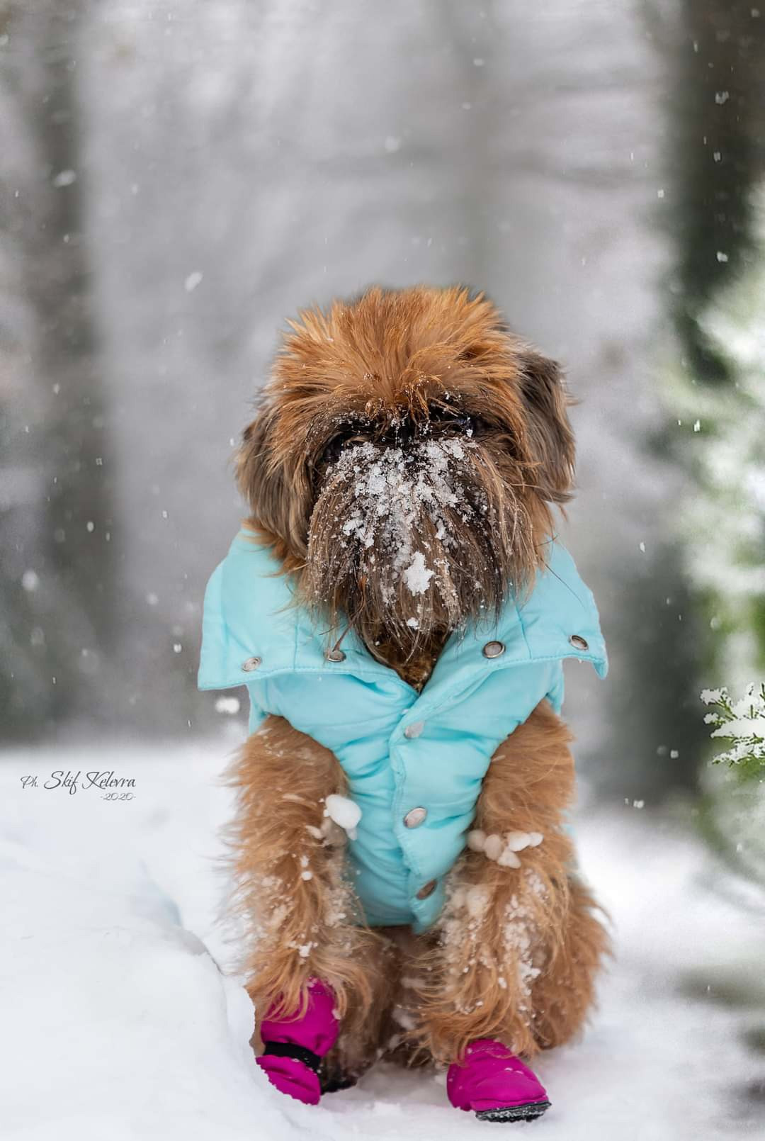 МК_СКИФКА. Фотограф Анималист из Новосибирска Татьяна Кауфман