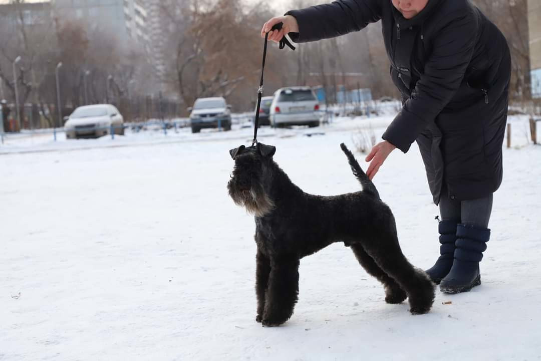 МК_СКИФКА. Фотограф Анималист из Новосибирска Татьяна Кауфман