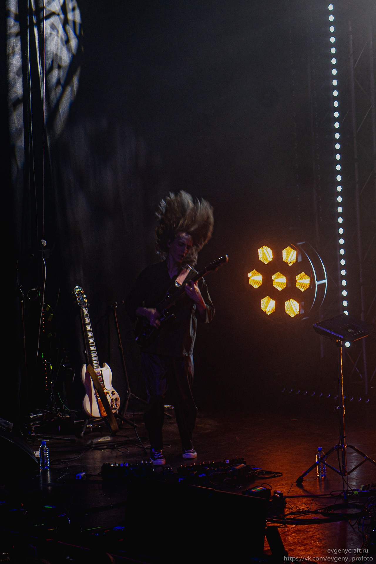 Dolphin 14 feb 2026. EvgenyCraft