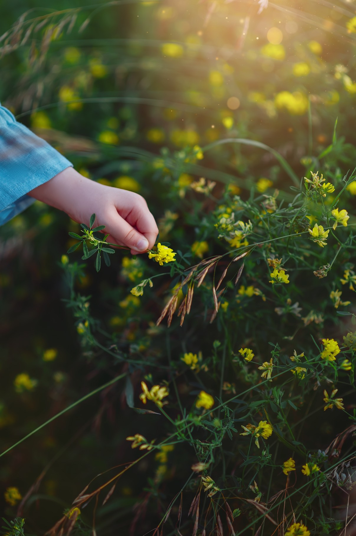 Художественные съемки. Семейный и детский фотограф в г. Комсомольск-на-Амуре. Выпускные альбомы!