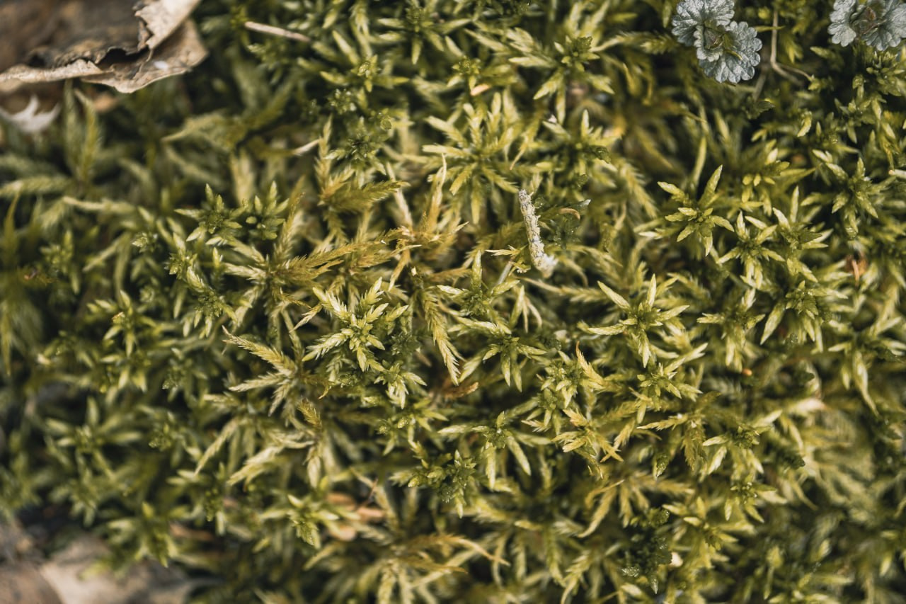 Итоги 2024. Саватейкин Ярослав | Портретный фотограф в Москве