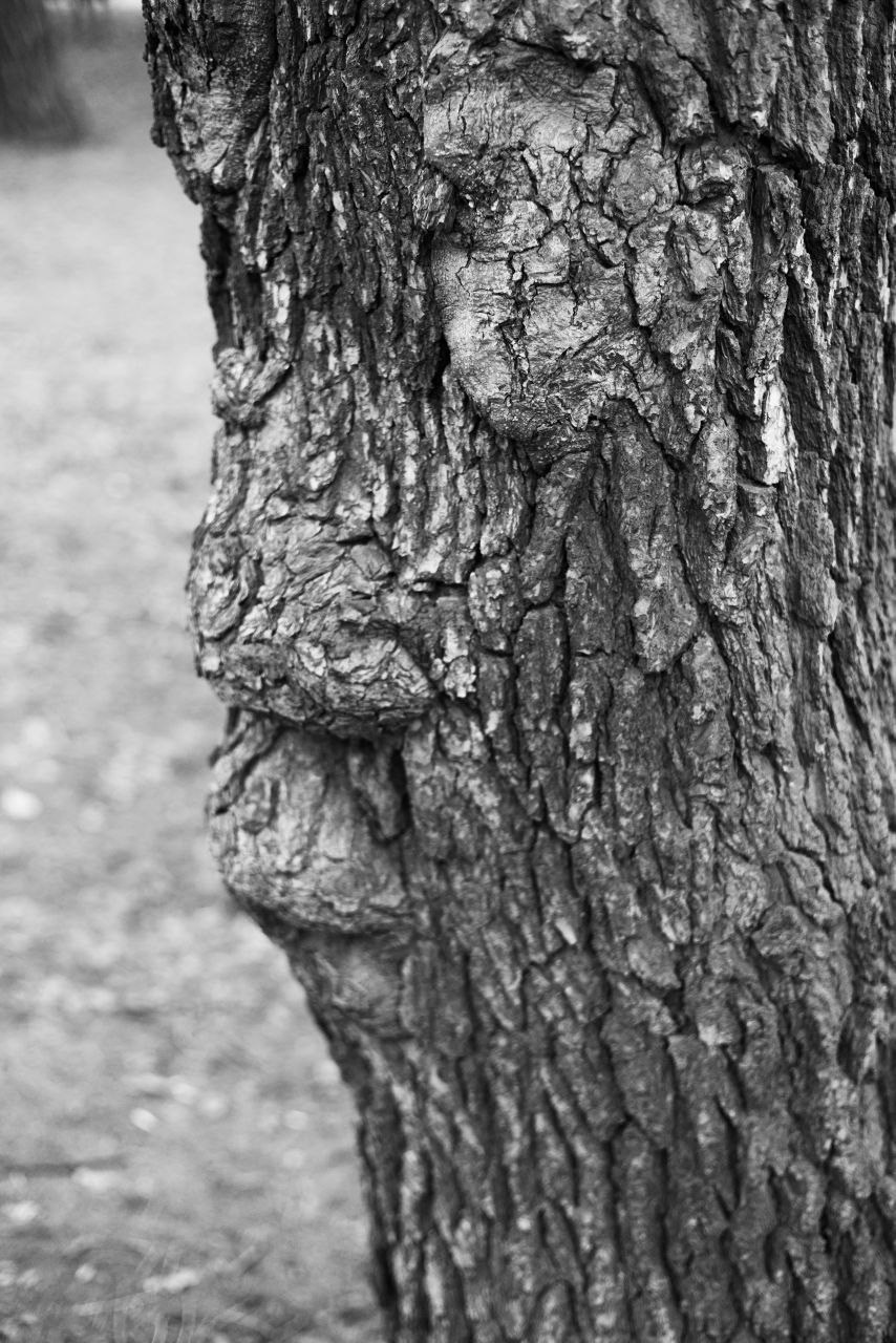 Облачный поток. Мастерская Демченко