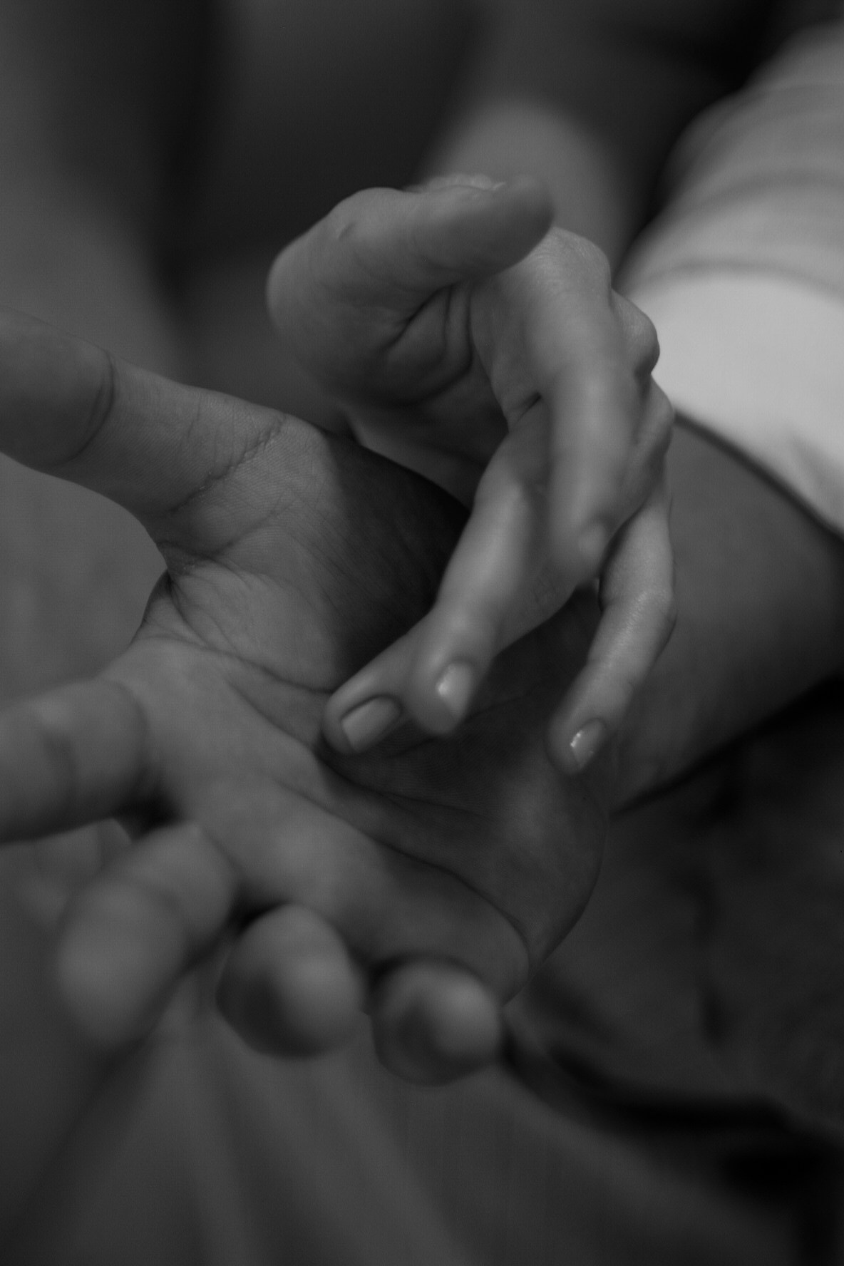 Свадебная история Данила и Ярославны. Семейный фотодуэт Ирина и Николай Власьевы. Фотосессии в Новосибирске