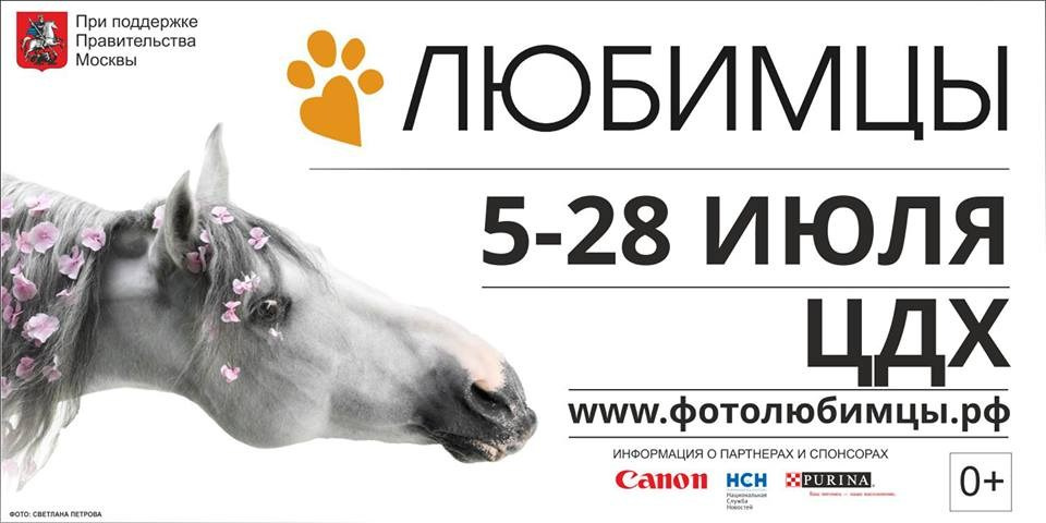 Публикации. Лана Петрова, фотограф