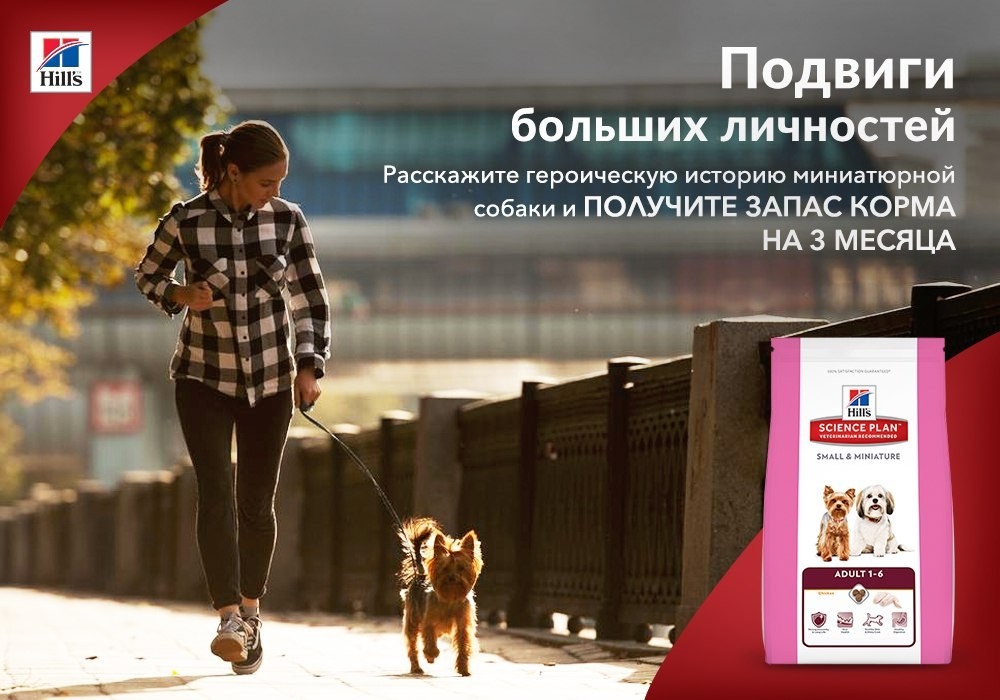 О фотографе TitAnya. Фотограф собак, фотограф-анималист Аня Титова (Titanya). Москва