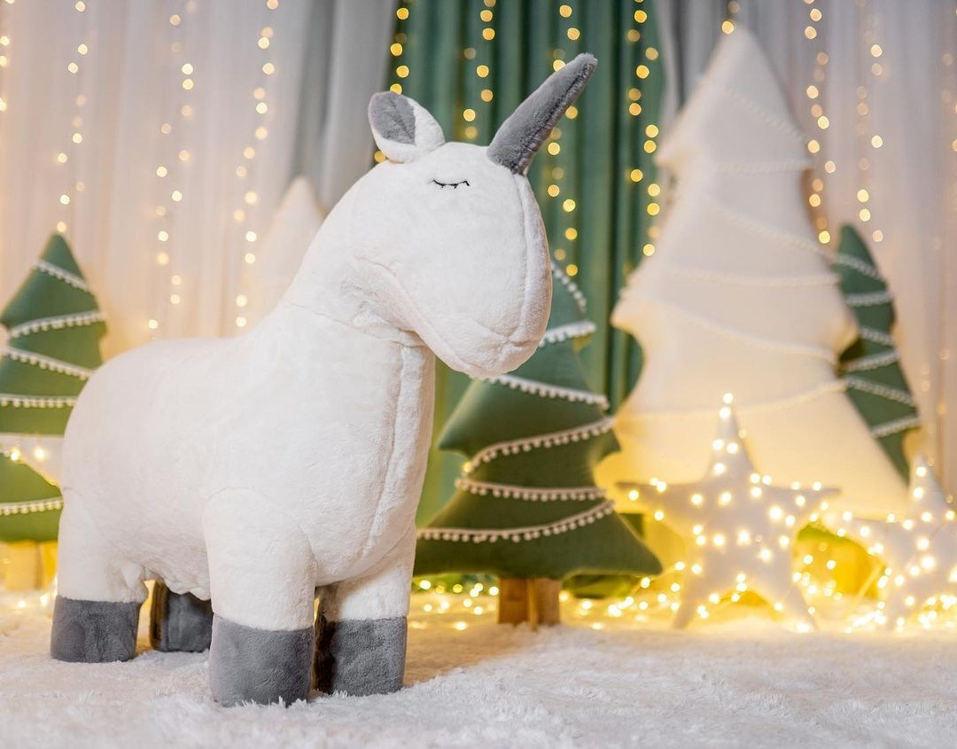 One room. Фотограф г. Хабаровск. Семейные и индивидуальные съёмки