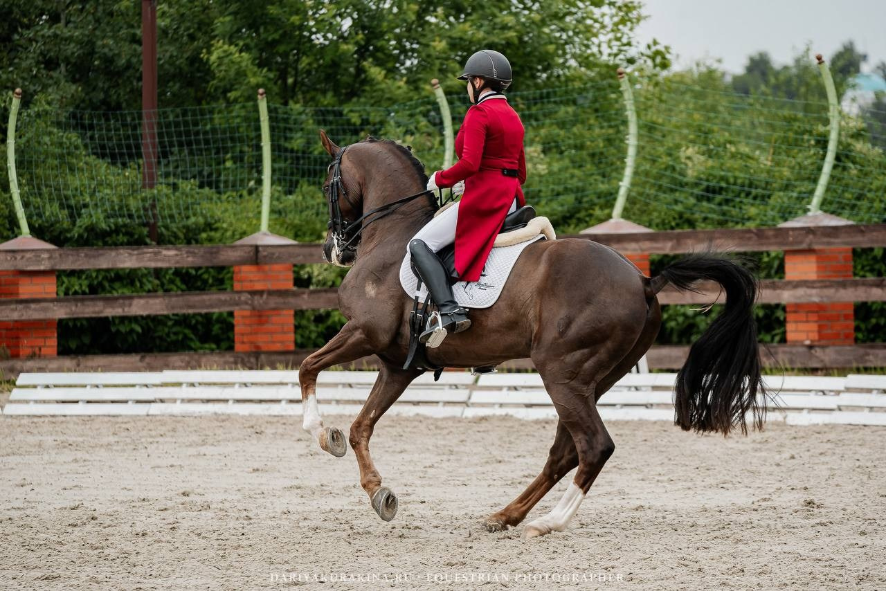 СОРЕВНОВАНИЯ ПО ВЫЕЗДКЕ, КОНИШКОЛА «ОЛИМПИЯ». Куракина Дарья • Конный фотограф
