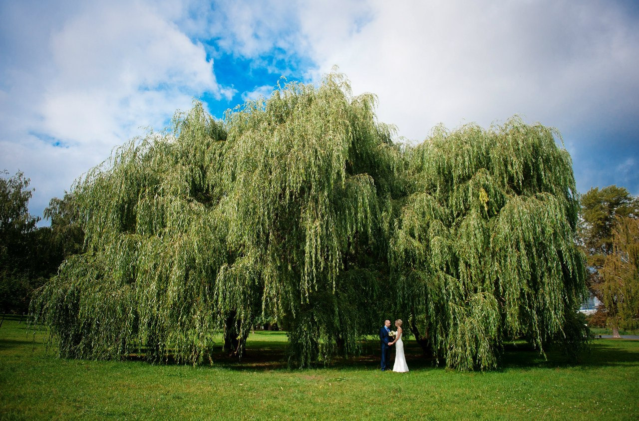 Свадьба и Love Story. Профессиональный фотограф Нестеров Александр в Кишиневе и Бухаресте