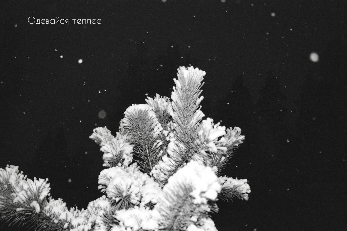 Пленочные страсти. Фотограф — Маслеников Константин